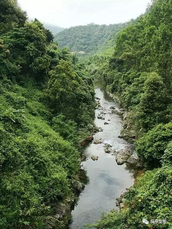 小球进黑洞