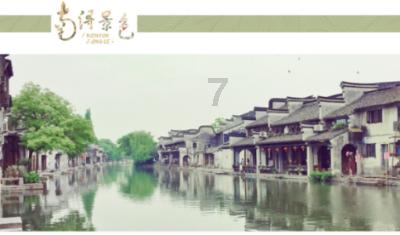 受困的西红柿